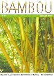 Bambou 54